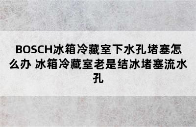 BOSCH冰箱冷藏室下水孔堵塞怎么办 冰箱冷藏室老是结冰堵塞流水孔